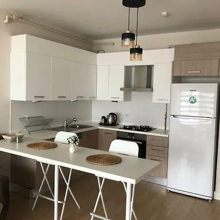 Bursa Flat Séjour chez l'habitant Demirtas